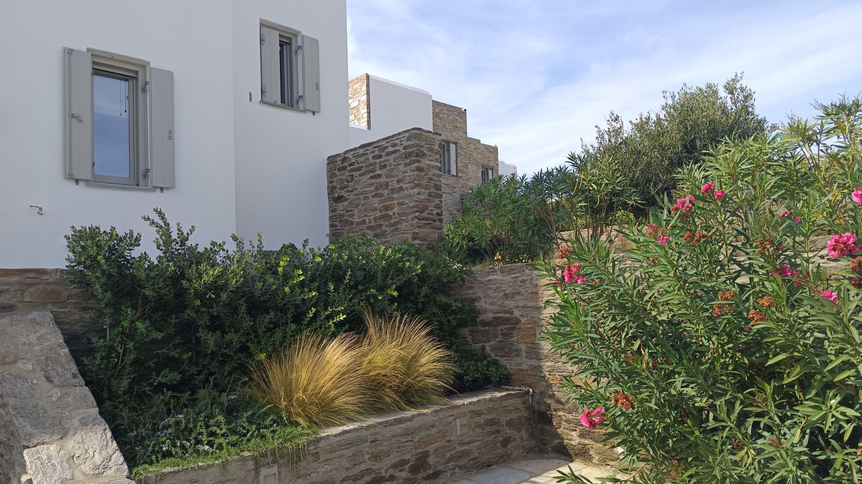Τέσσερις ισόγειες κατοικίες με υπόγειο και πισίνα / Άνδρος